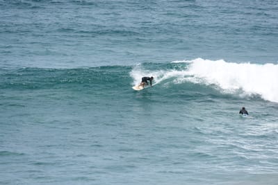 DSC_5697.JPG