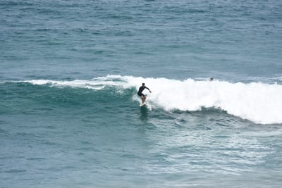 DSC_5702.JPG