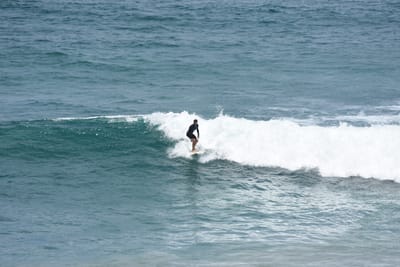DSC_5703.JPG