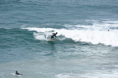 DSC_5706.JPG