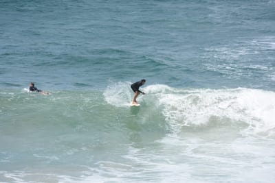 DSC_5710.JPG