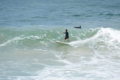 DSC_5715.JPG