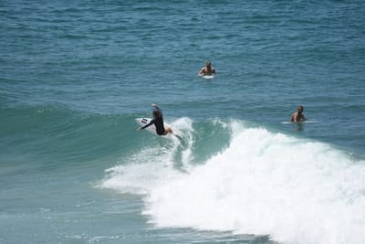 DSC_5735.JPG
