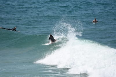 DSC_5738.JPG