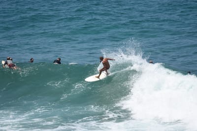 DSC_5768.JPG