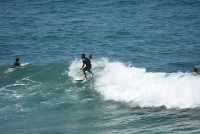 DSC_5772.JPG