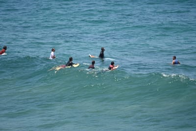DSC_5775.JPG
