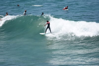 DSC_5780.JPG