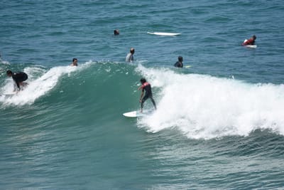 DSC_5781.JPG