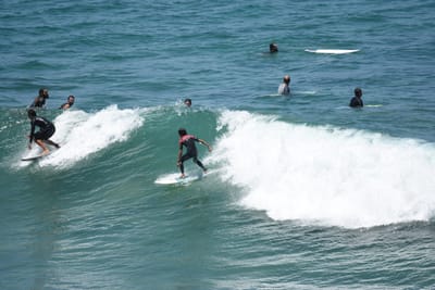 DSC_5782.JPG