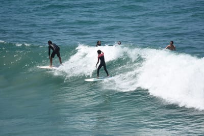 DSC_5784.JPG