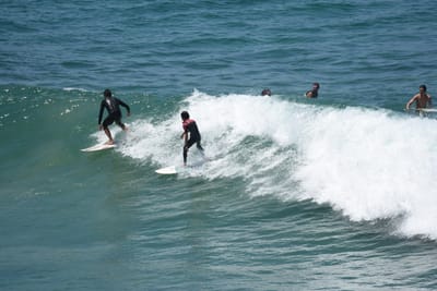 DSC_5785.JPG