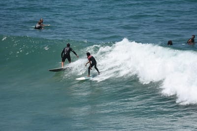 DSC_5786.JPG
