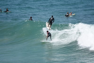 DSC_5788.JPG