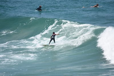 DSC_5800.JPG