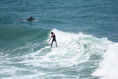 DSC_5805.JPG