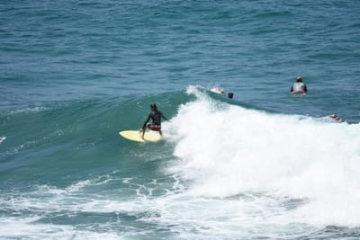 DSC_5817.JPG