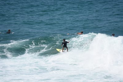 DSC_5825.JPG