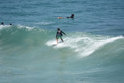 DSC_5848.JPG