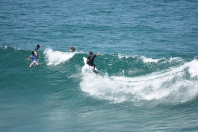 DSC_5852.JPG