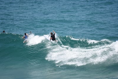 DSC_5853.JPG