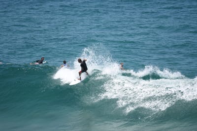 DSC_5854.JPG