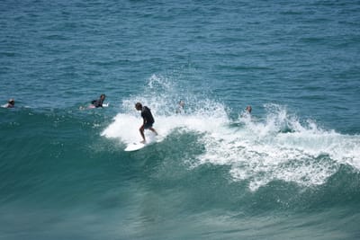 DSC_5855.JPG