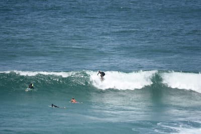 DSC_5860.JPG