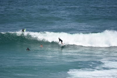 DSC_5861.JPG