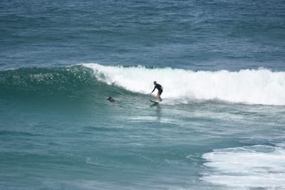 DSC_5863.JPG
