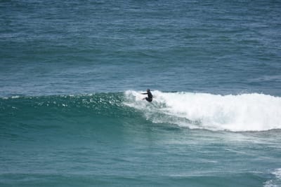 DSC_5865.JPG