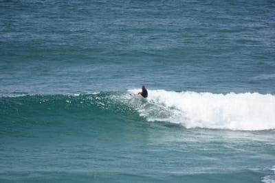 DSC_5866.JPG