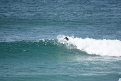 DSC_5868.JPG