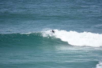 DSC_5869.JPG