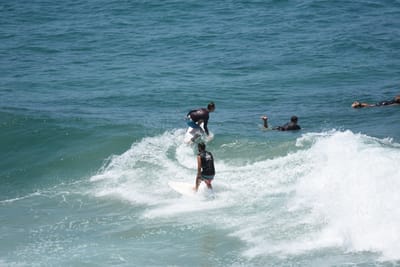 DSC_5871.JPG