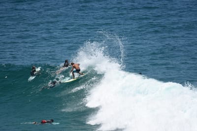 DSC_5885.JPG