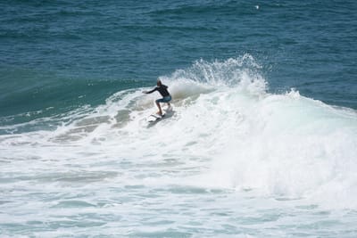 DSC_5902.JPG