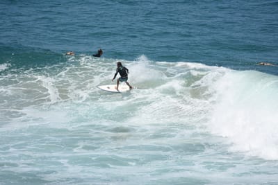 DSC_5908.JPG
