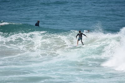 DSC_5910.JPG
