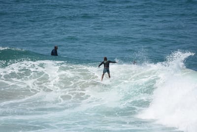 DSC_5911.JPG