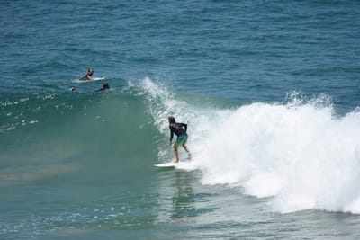 DSC_5914.JPG