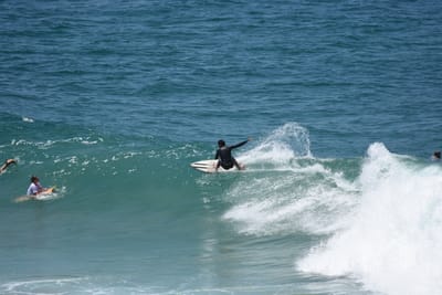 DSC_5918.JPG