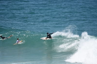 DSC_5919.JPG
