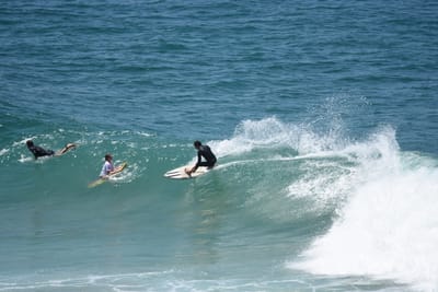 DSC_5920.JPG
