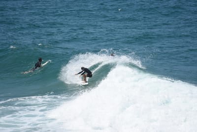 DSC_5924.JPG