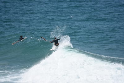 DSC_5925.JPG