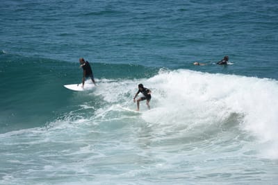 DSC_5927.JPG