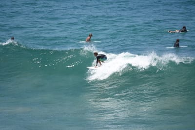 DSC_5930.JPG