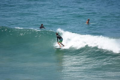 DSC_5931.JPG