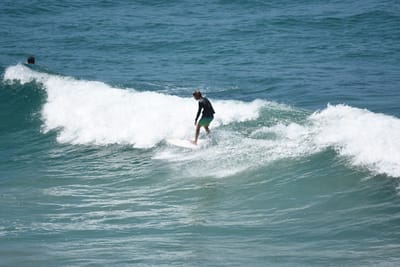 DSC_5934.JPG